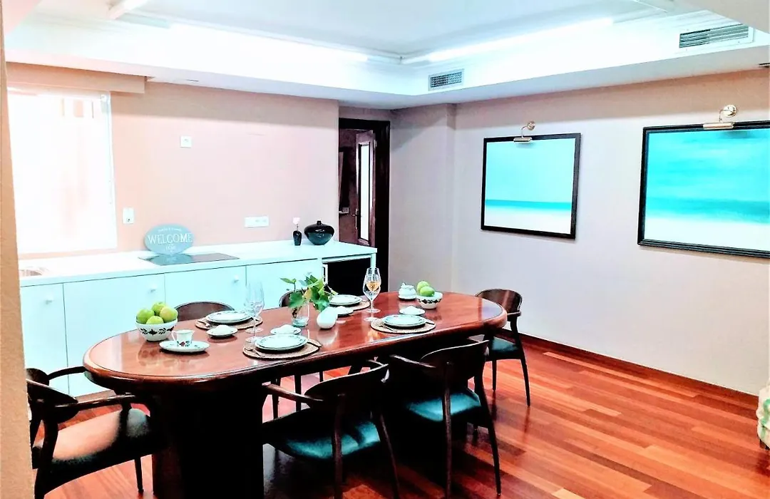 Large Apartment With Large And Sunny Terrace - Garden , Alicante Center-1