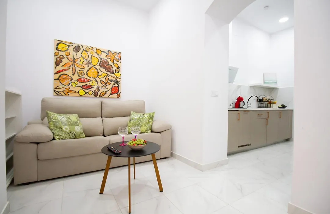 Art Apartments Alicante-1