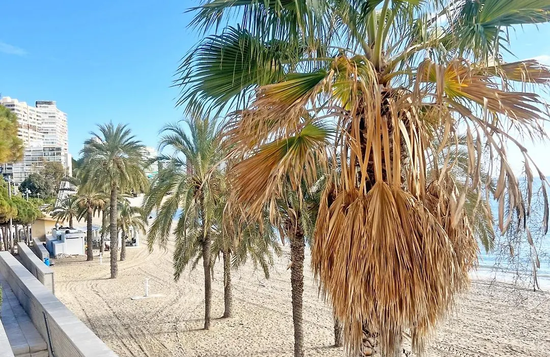 A 100 metros de la playa. Parking Gratuito Privado-1