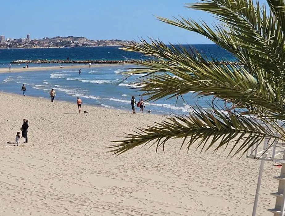 Alicante 20-1