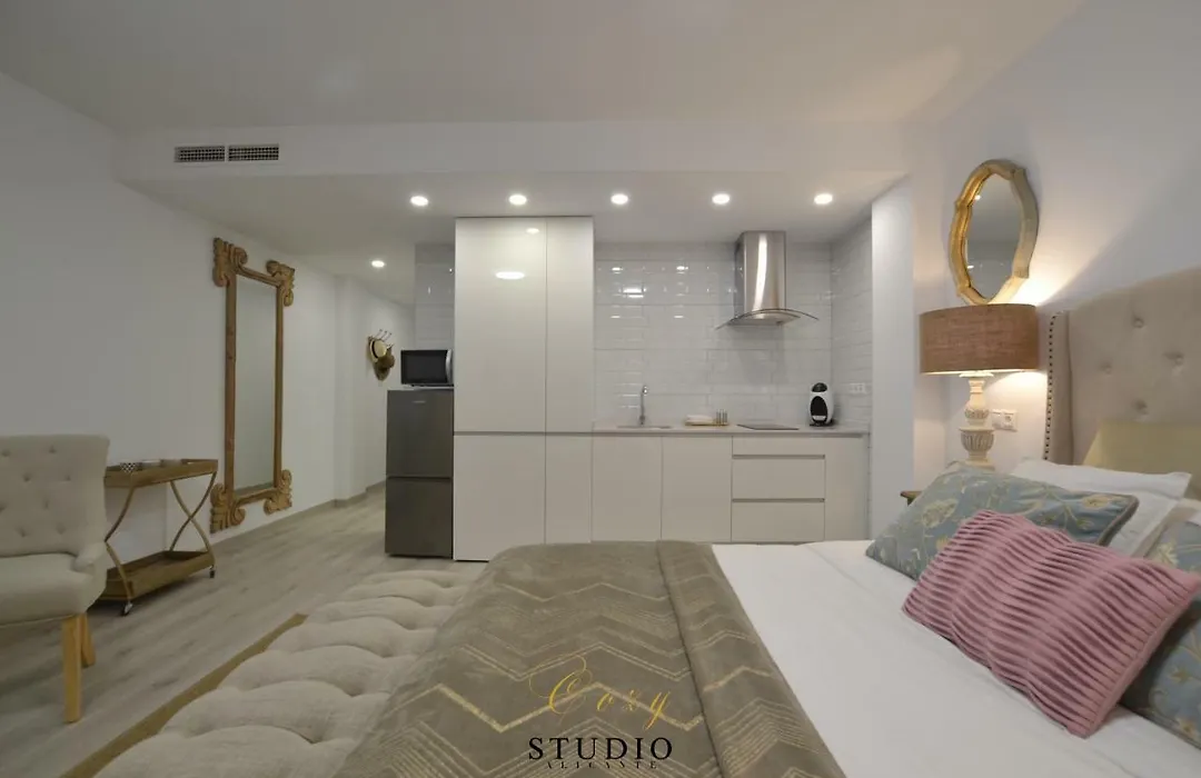 Cozy Studio Alicante-1