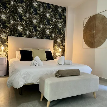 Modern Charm In Barrio Alicante-2