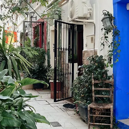 Apartamento en casco antiguo de Alicante-3