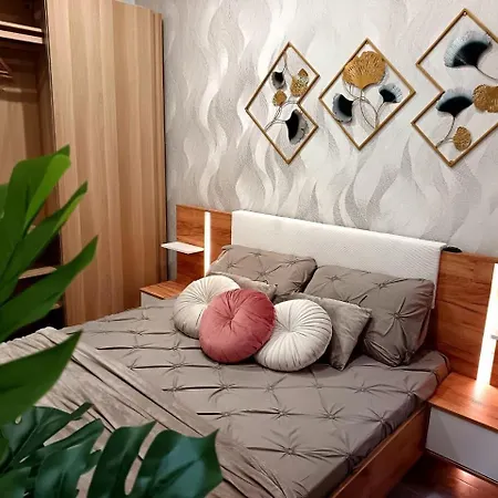 Boutique Luxury City Center-3