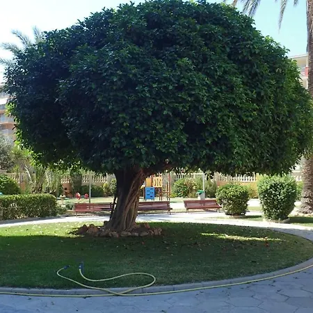 Tortuga Flat-2