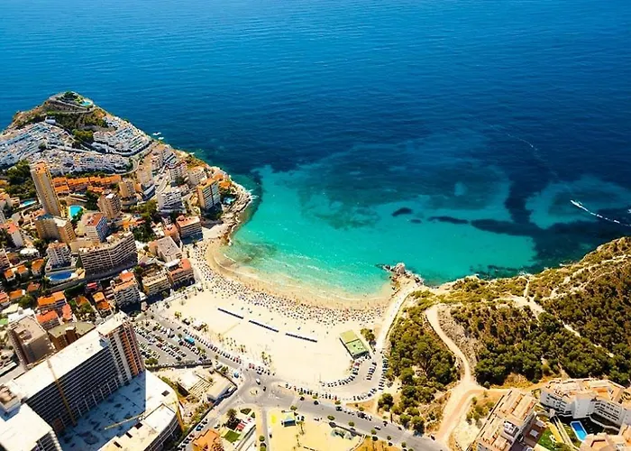 Charming Apartment In Alicante Near The Sea & City Center
