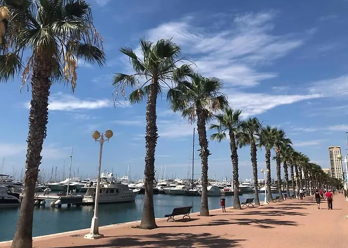 Apartamento CasaTuris Pintor Lorenzo A105 Alicante