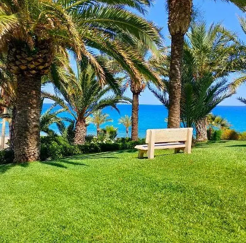 Apartamento Tarja 1 Alicante
