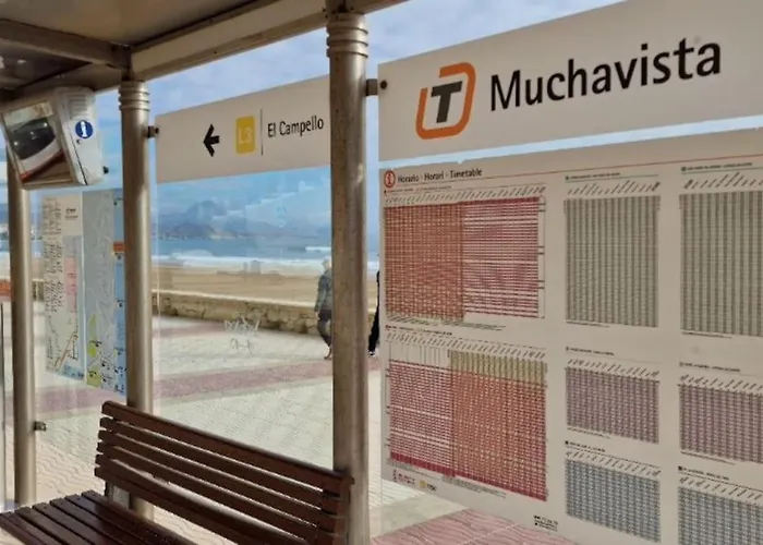 Cachis Beach Muchavista Alicante