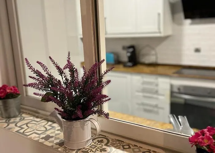 Apartamento Des Rustic Center Alicante