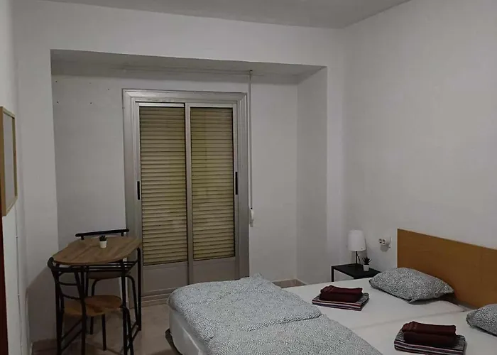 Paloma-habitacion del piso Alicante