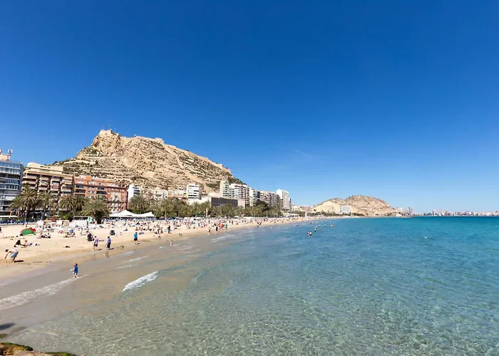 Paloma-habitacion del piso Alicante