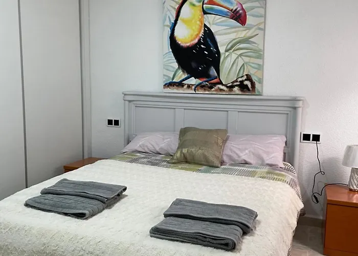 Habitación en piso particular Sol Connect Alicante