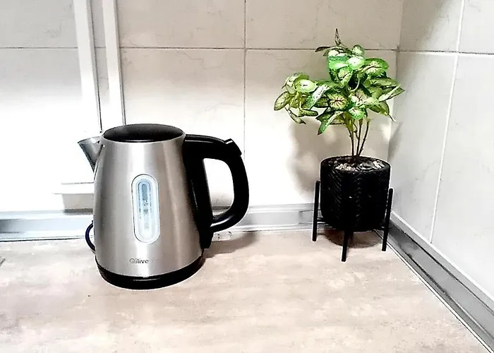 Cómodo apartamento greenroom Alicante