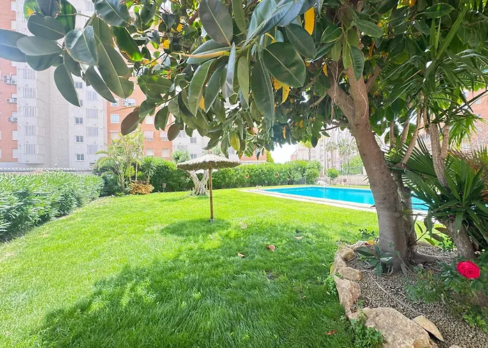 Estudio con piscina Alicante