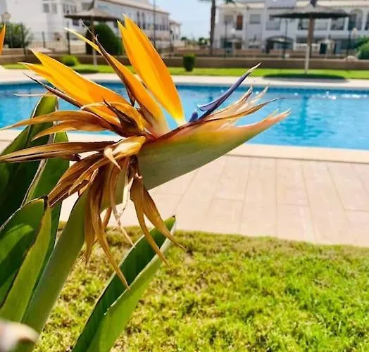 Apartamento Punta Prima Flat With Private Roof Terrace Alicante