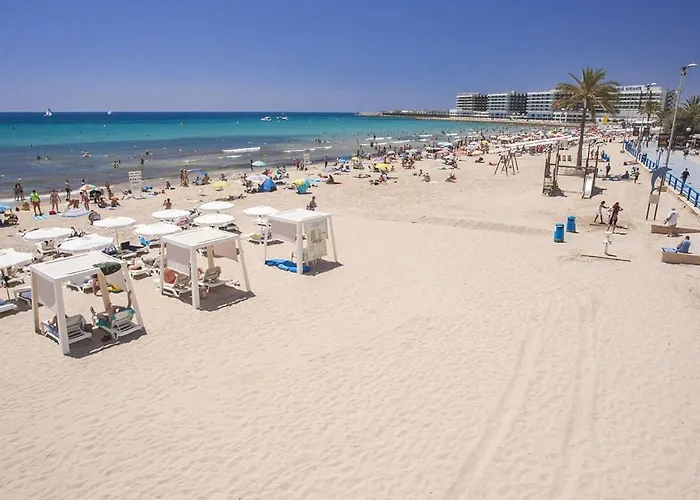 Apartamento Cactus22 Alicante