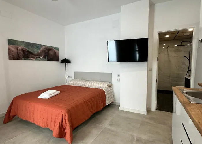 Apartamento Loft B Alicante
