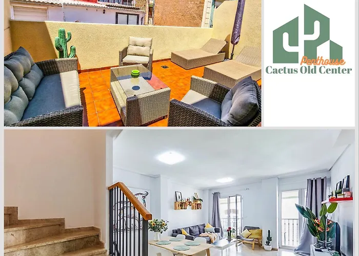 Penthouse Cactus Old Center Apartment Alicante