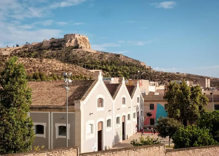 Cigarreras Lovely Loft Alicante
