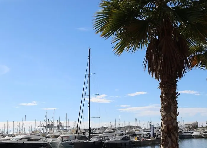 Alicantan Vital Experience Alicante
