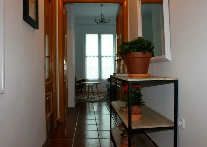 Cozy Apartment City Hall Alicante