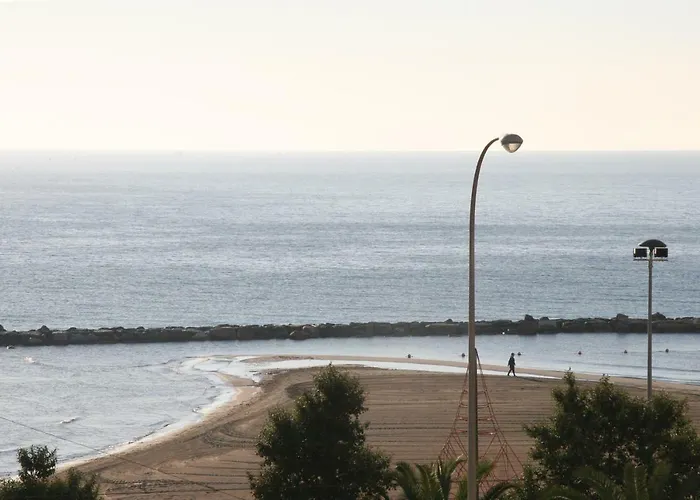 The Place To Be Alicante