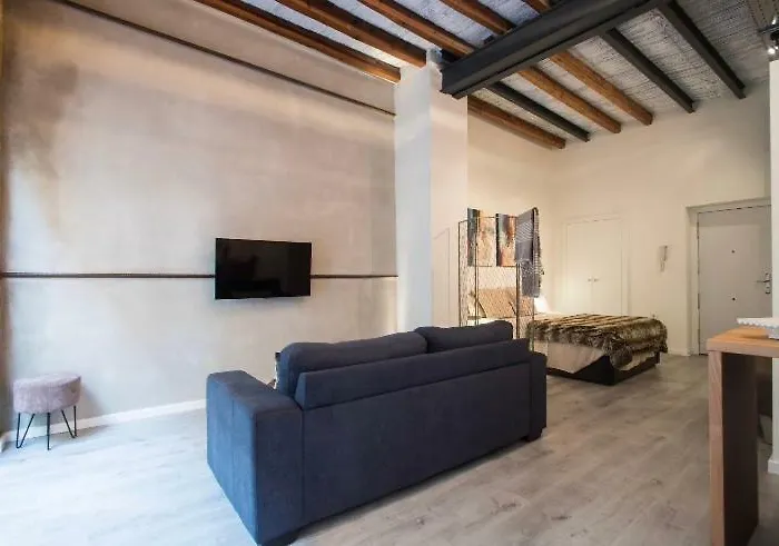 Beautiful Loft In Old Town Apartment Alicante