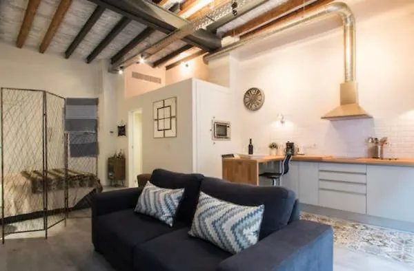 Beautiful Loft In Old Town Apartment Alicante