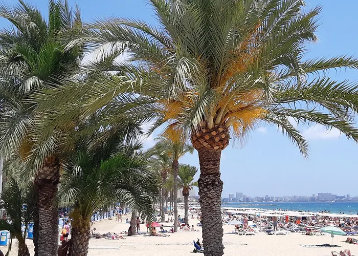 Wonderful Apartment In The Center By The Sea Alicante